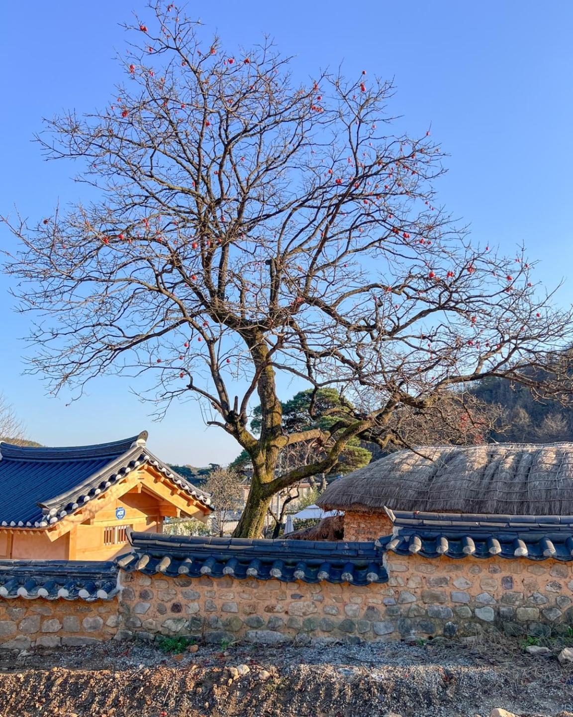 Jukheon Traditional House Андон Экстерьер фото